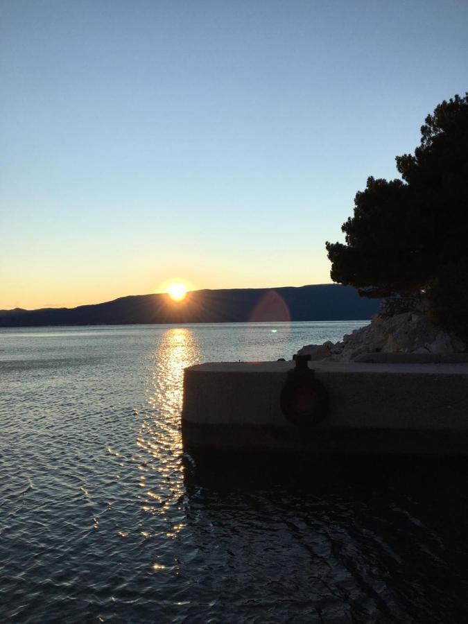 Kuca Za Odmor Bebic, Kremena Villa Klek Exteriör bild
